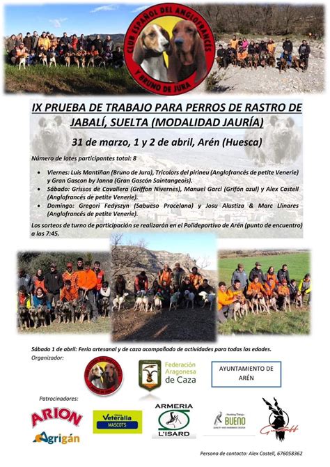 perros de jabali en venta|Perros de Rastro de Jabalí